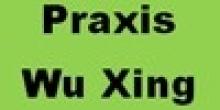 Praxis Wu Xing