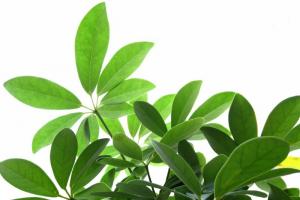 Massage Ausbildungen Berlin