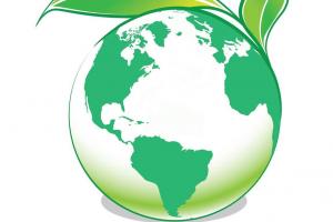 Flexible Computerkurse