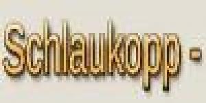 Steffen Schwientek - Schlaukopp