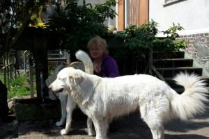 Zentrum für die Integration von Mensch & Tier