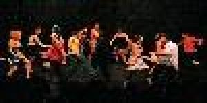 Freiburger Musical- und Schauspielschule