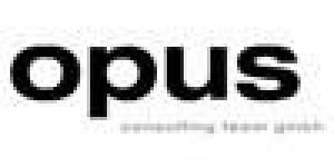 opus consulting team