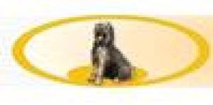 Hundekrankengymnastik Woßlick