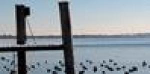 Wegele Foto- & Digitalservice