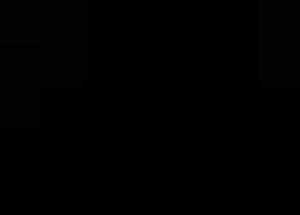 Westsächsische Hochschule Zwickau