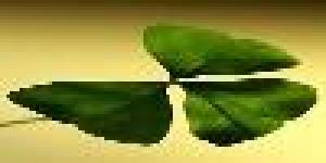 BRAIN-TRAIN-EXPRESS Institute