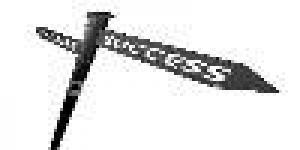 Qualities of Success