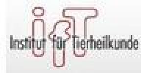 Institut für Tierheilkunde