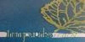 Heilpraxis Petra Hinze