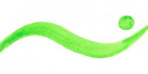 Dipl.-Psychologin Sandra Jankowski