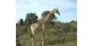 Beratung im Gesundheitswesen