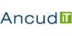 Ancud IT-Beratung