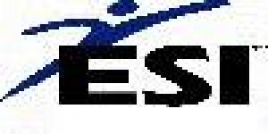 ESI International GmbH