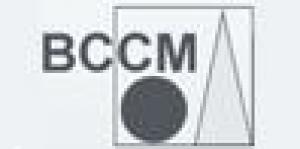 BCCM Broer Cross-Cultural Management