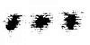 Hochschule für Bildende Künste Braunschweig