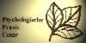 Psychologische Praxis Cesar