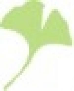 Akademie zur Berufsausbildung für Heilpraktiker GbR