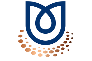 Deutsche Umweltakademie