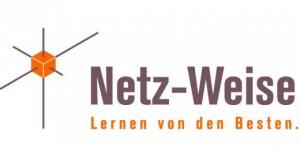 Netz-Weise