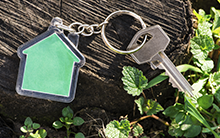 Das professionelle Instandhaltungsmanagement - Konzepte, Strategien und Instrumente der professionellen Gebäudeinstandhaltung