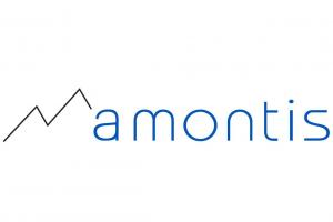 amontis consulting ag