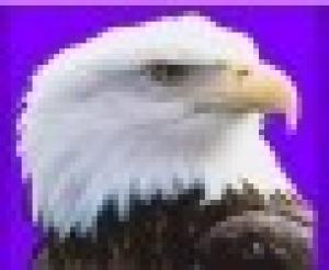 Skatkartenschule NRW