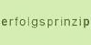 erfolgsprinzip