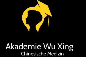 Praxis Wu Xing