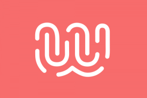 Wild Code School