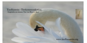 Tierflüsterin
