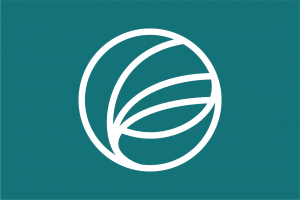 Auraplan Academy