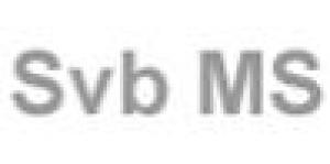 EDV Sachversändigenbüro M. Schüssler