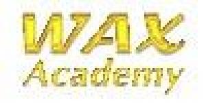 Wax Academy