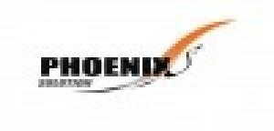 Phoenix Solution