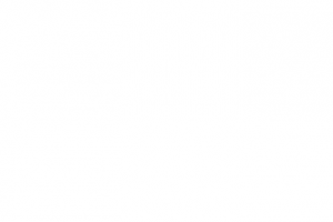 Agilastic Consulting Hannover