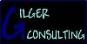 GILGER CONSULTING