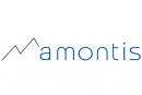 amontis consulting ag
