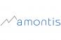 amontis consulting ag