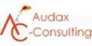 Audax - Consulting